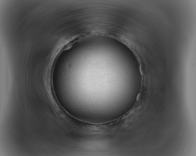 X0000088220241200705221809