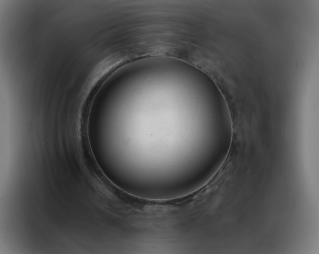 X0000088220242200705221809