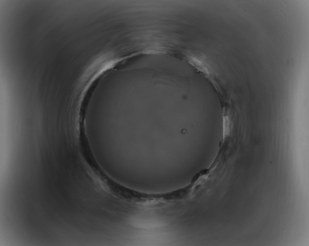 X0000088220243200705221809