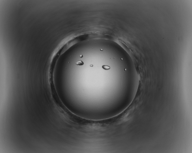 X0000088220244200705221809