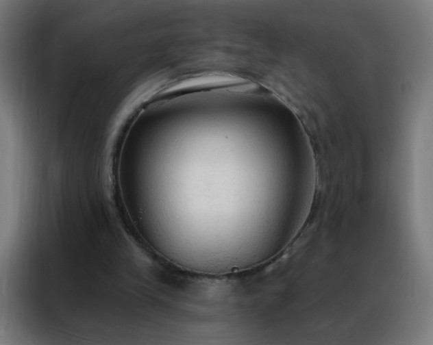 X0000088220245200705221809