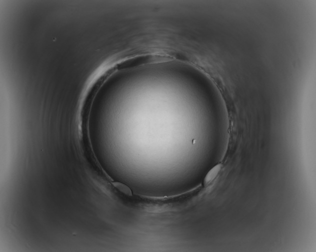 X0000088220246200705221809