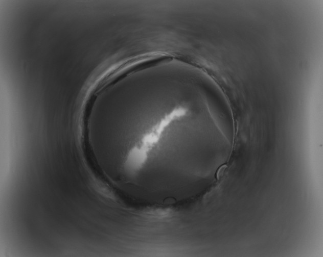 X0000088220247200705221809