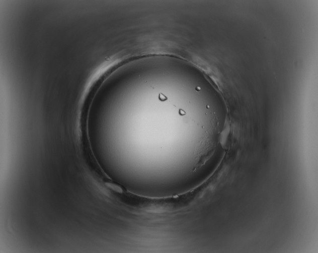 X0000088220248200705221809