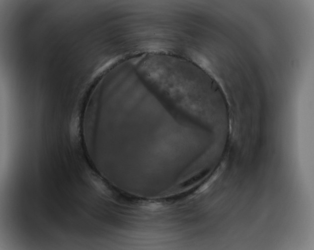 X0000088220249200705221809