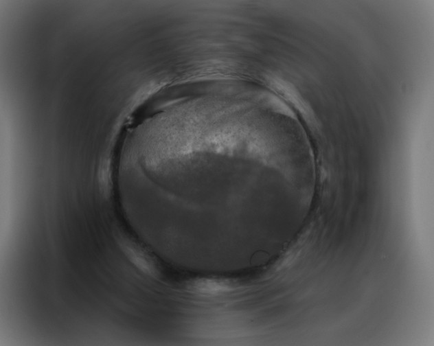 X0000088220250200705221809