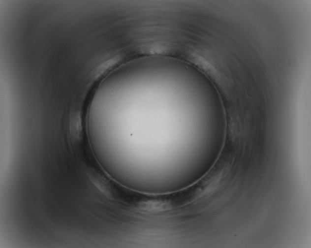 X0000088220251200705221809