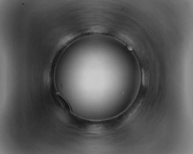 X0000088220252200705221809