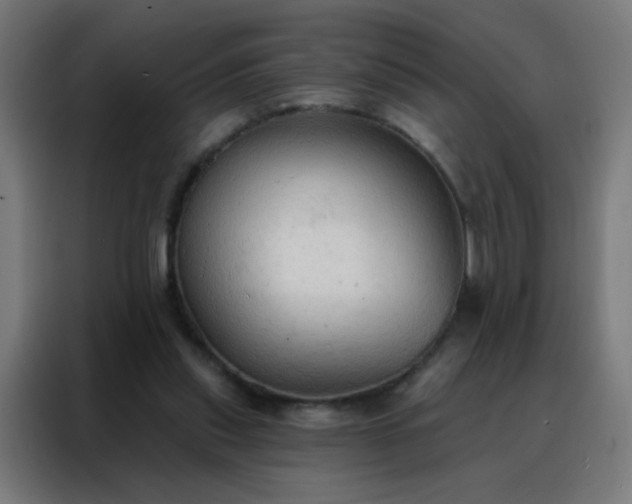 X0000088220253200705221809