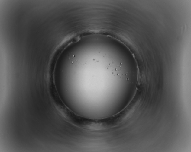 X0000088220256200705221809