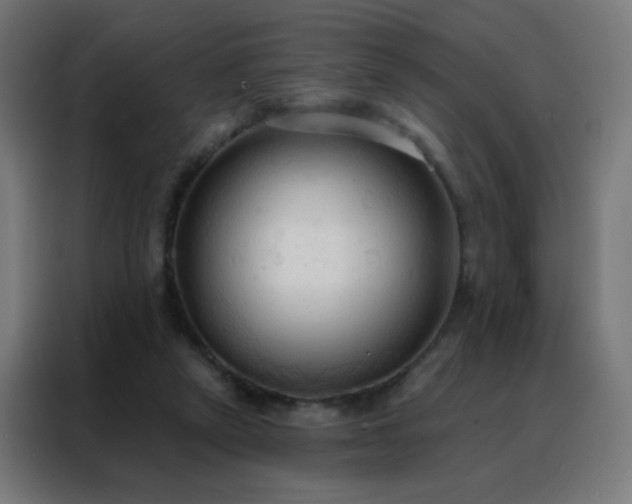 X0000088220257200705221809