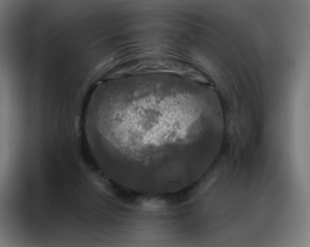 X0000088220258200705221809