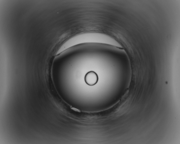 X0000088220260200705221809