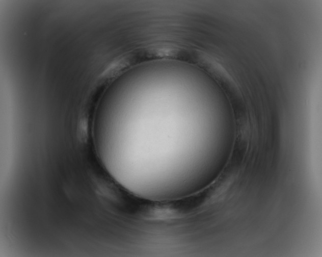 X0000088220262200705221809