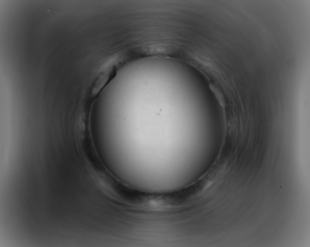 X0000088220264200705221809