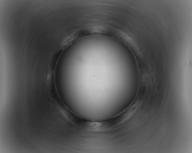 X0000088220265200705221809