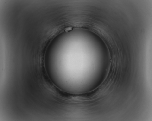 X0000088220268200705221810