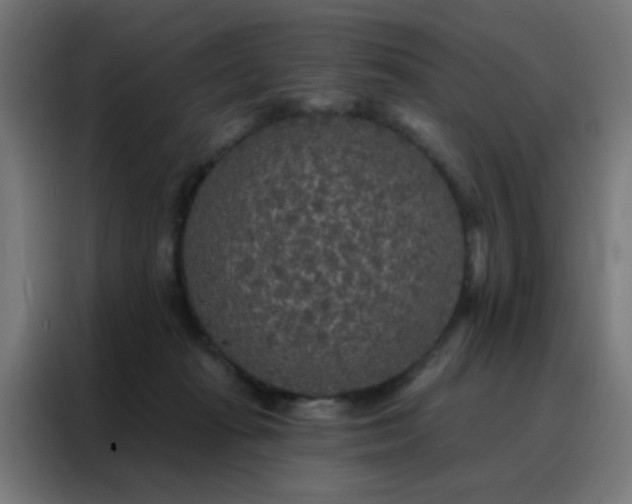 X0000088220269200705221810