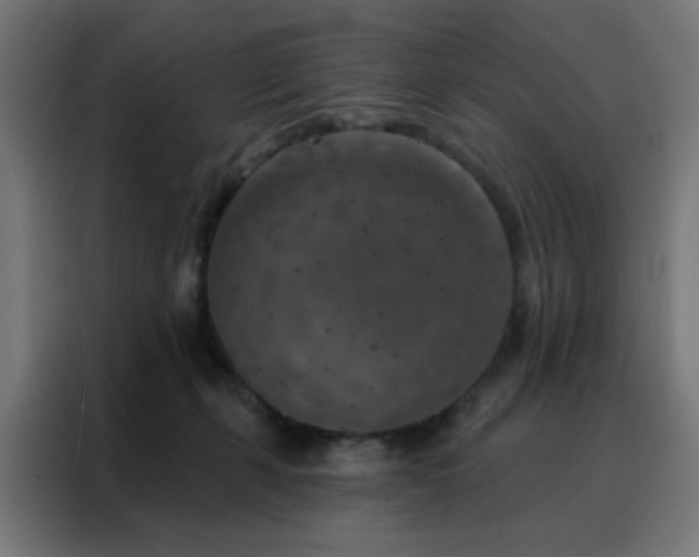 X0000088220271200705221810