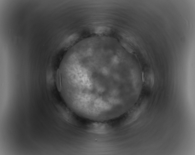 X0000088220272200705221810