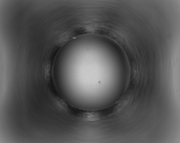 X0000088220275200705221810