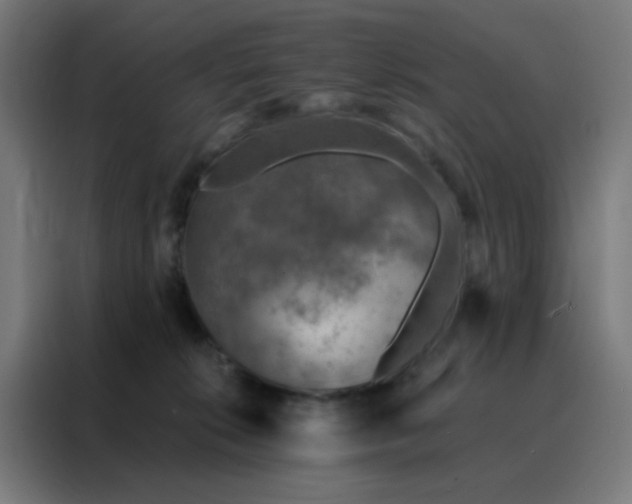 X0000088220276200705221810