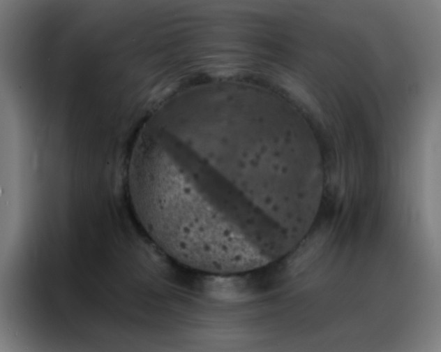 X0000088220277200705221810