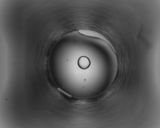 X0000088220280200705221810