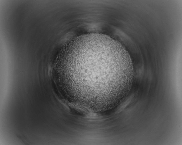 X0000088220281200705221810