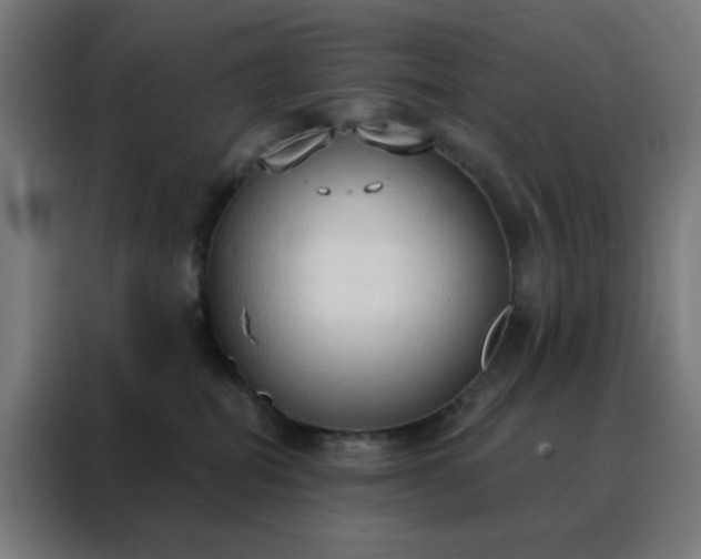 X0000088220282200705221810