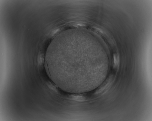 X0000088220284200705221810