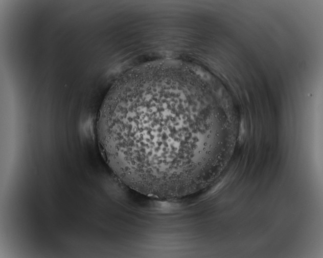 X0000088220286200705221810