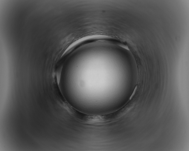 X0000088220288200705221810