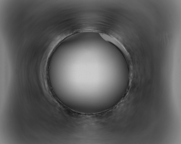 X0000088220289200705221809