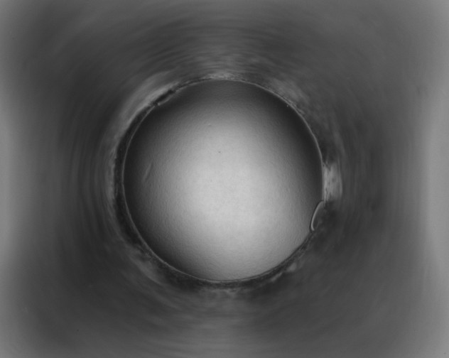 X0000088220291200705221809