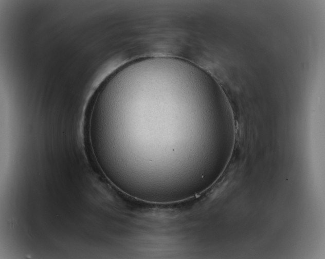 X0000088220292200705221809