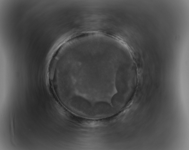 X0000088220293200705221809