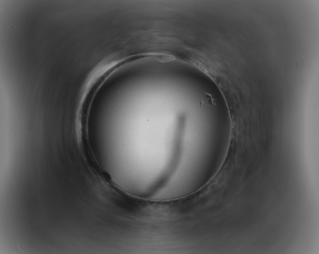 X0000088220294200705221809