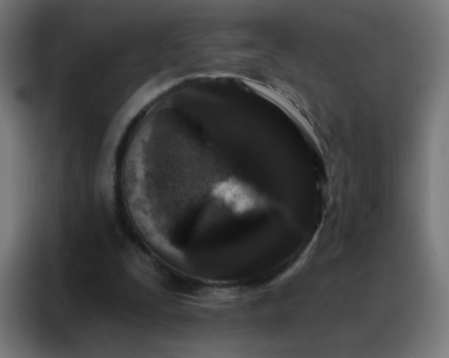 X0000088220295200705221809