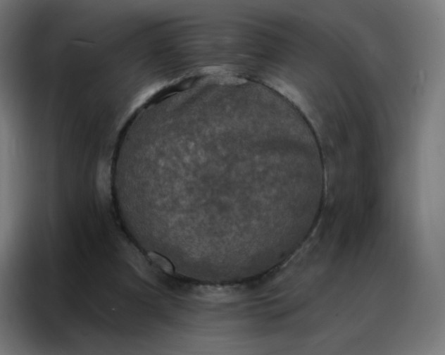 X0000088220297200705221809