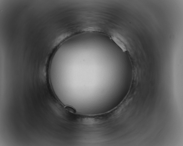 X0000088220298200705221809