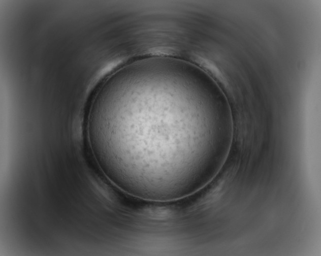 X0000088220299200705221809