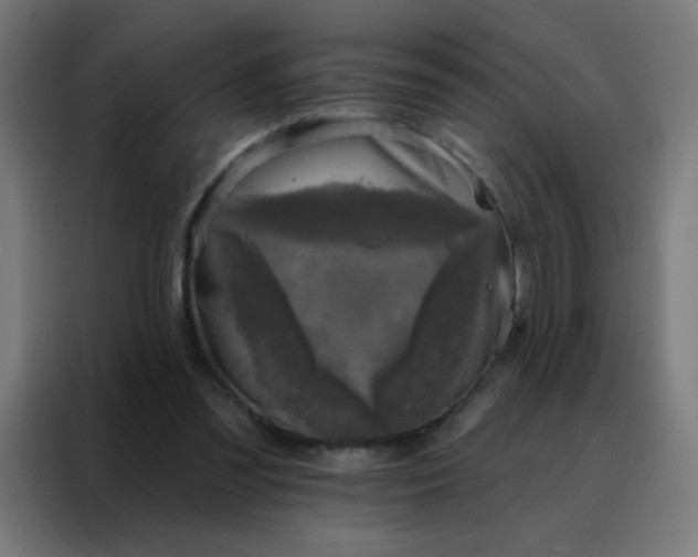 X0000088220301200705221809