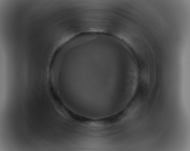 X0000088220303200705221809