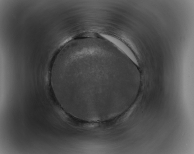 X0000088220305200705221809