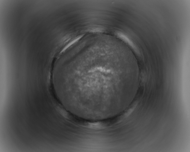 X0000088220309200705221809