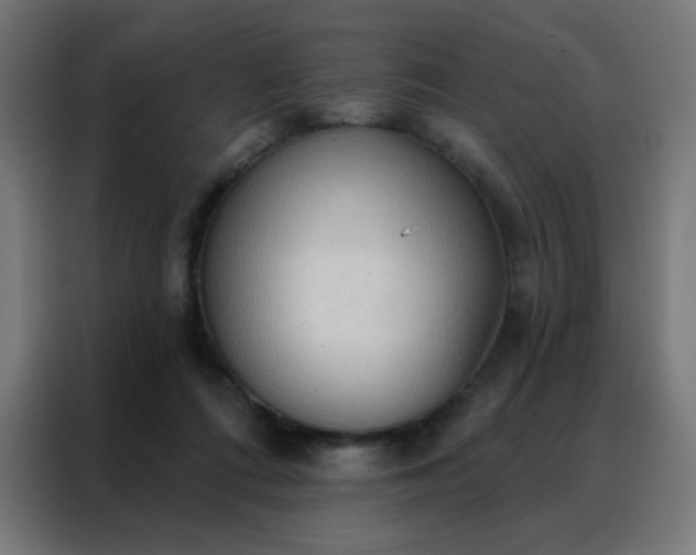 X0000088220312200705221809