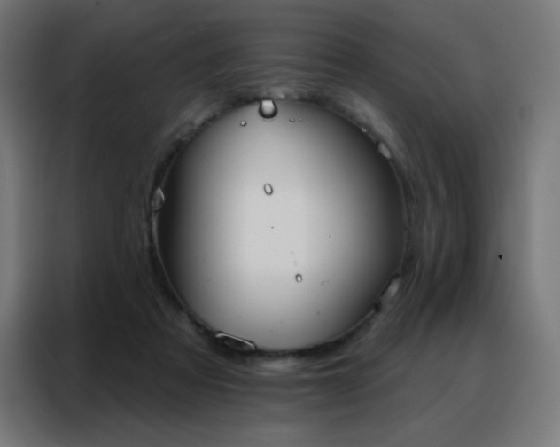 X0000088220313200705221809