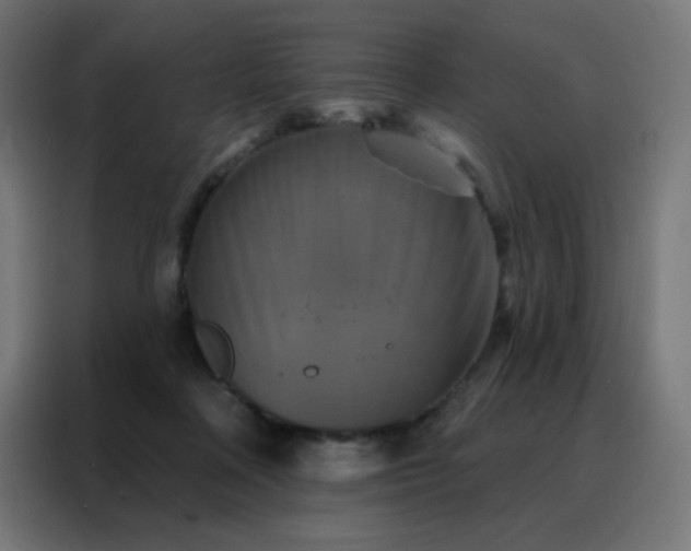 X0000088220314200705221809