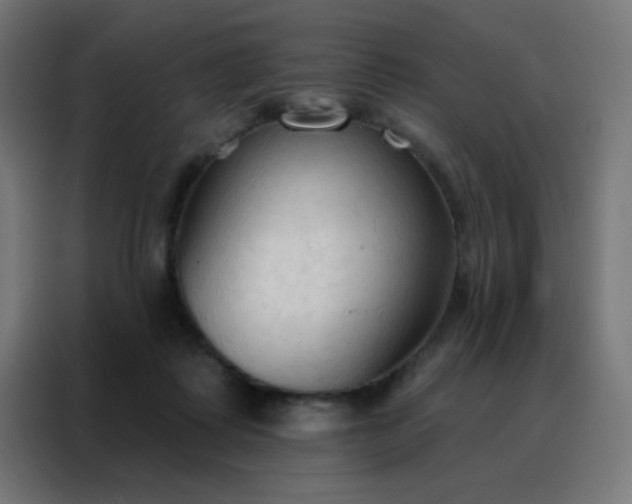 X0000088220315200705221809